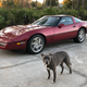Illustration for article titled At $6,950, Is This Burgundy 1990 Chevrolet Corvette Worth Breaking Out Some Green?